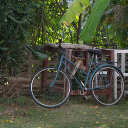 Bicycle parked by tree