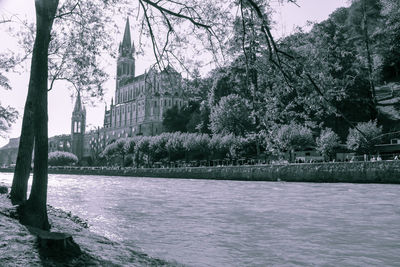 Trees and buildings by river in city