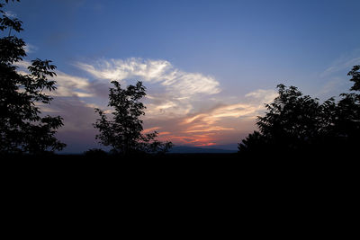 Low angle view of silhouette trees against sky during sunset