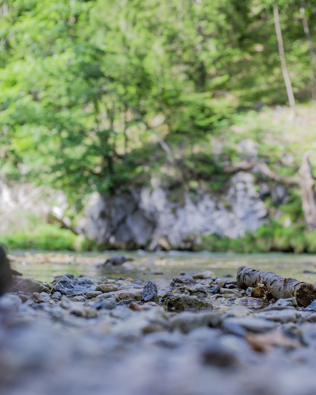 SURFACE LEVEL OF STONES ON SHORE