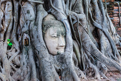 Old ancient sandstone buddha head on the root tree in ayutthaya temple, known as wat maha that