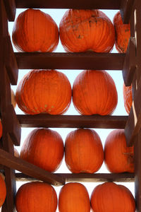 Close-up of pumpkins in market