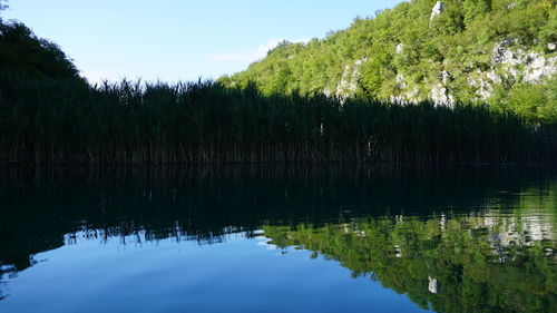 Reflection of trees in lake against sky