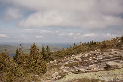 Scenic view of landscape against sky