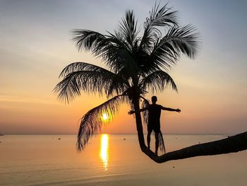 Silhouette tree by sea against sky during sunset