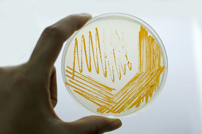 Close-up of hand holding yellow art against white background