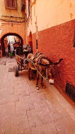 Horse cart on brick wall