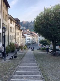 Street amidst trees in city against sky