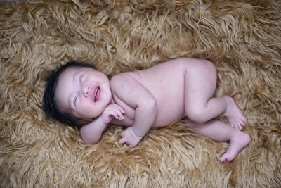 High angle view of cute baby sleeping on fur