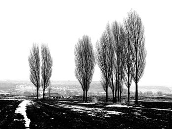 Bare trees on landscape against clear sky
