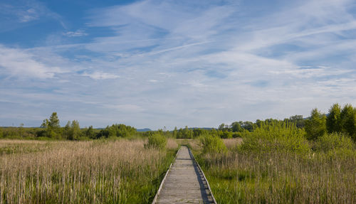 sky