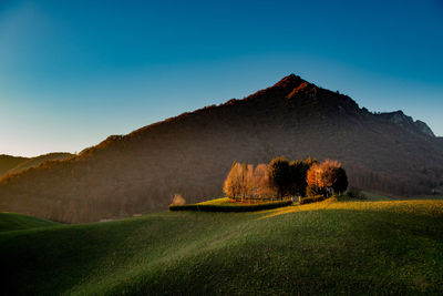 Scenic view of field against clear blue sky