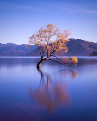 Scenic view of lake with mountains in background