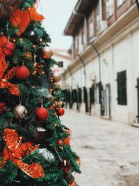 Close-up of christmas tree