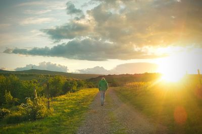 Rear view of man walking on land against sky