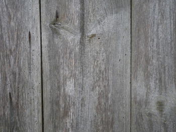 Close-up of wooden plank