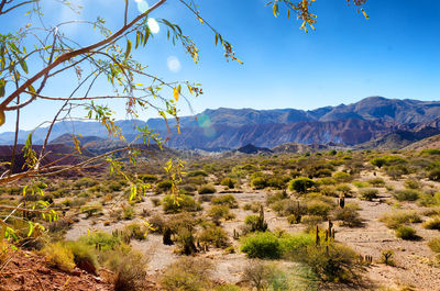 Scenic view of landscape and mountains against sky during sunny day