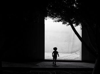 Rear view of silhouette woman standing by tree