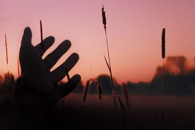 Silhouette person against sky during sunset