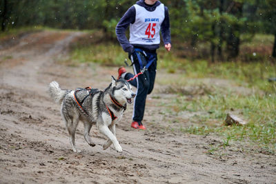 Low section of person with dog running on road