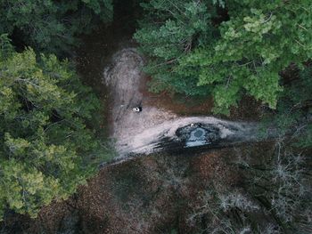 High angle view of dirt road amidst trees in forest