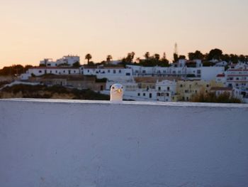 Buildings in town against clear sky