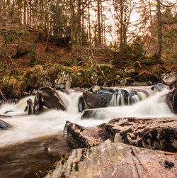 Scenic view of waterfall in forest