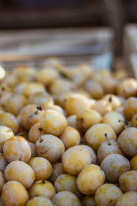 Close-up of roasted for sale