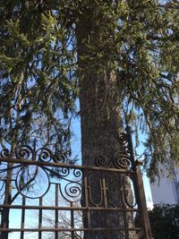 Low angle view of built structure against trees