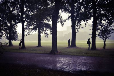 Silhouette of people walking in park