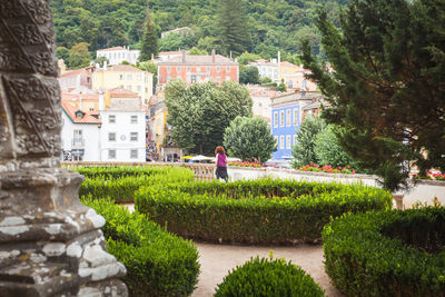 Plants and buildings in garden