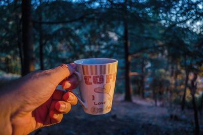 Hand holding coffee cup and tree