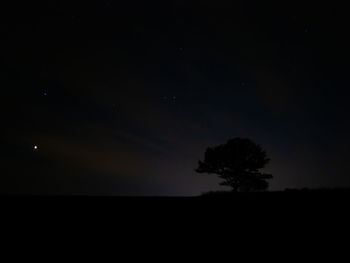 Silhouette trees against sky at night