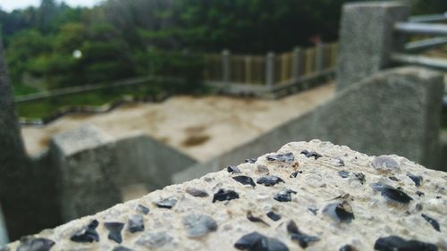 Close-up of rocks by retaining wall against buildings