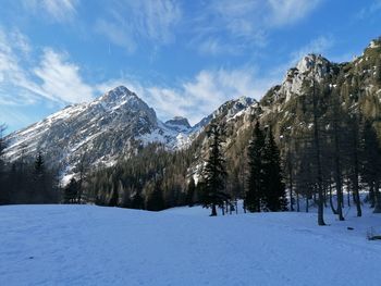 snow