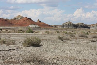 Scenic view of desert against sky