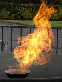 fire