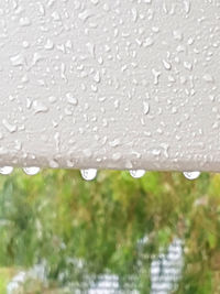 Close-up of raindrops on glass