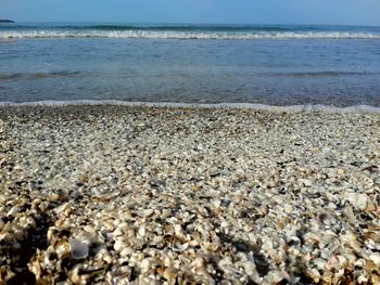 Scenic view of beach