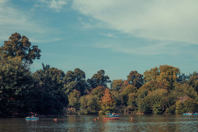 Boats in river with trees in background