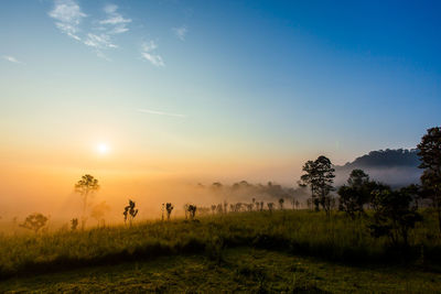 Scenic view of field against sky during sunset