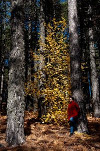 Rear view of person standing by trees in forest