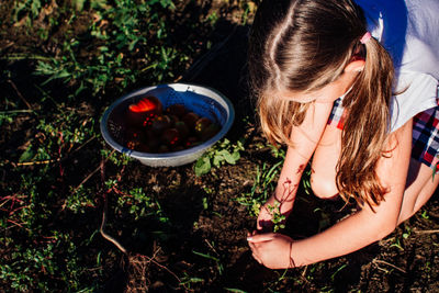 High angle view of girl planting saplings on field