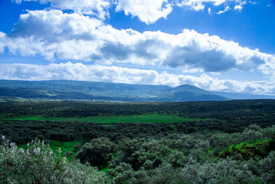 Scenic view of landscape against sky