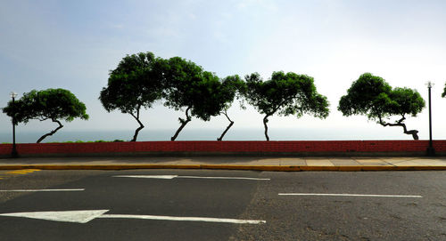 Trees by empty road against sky