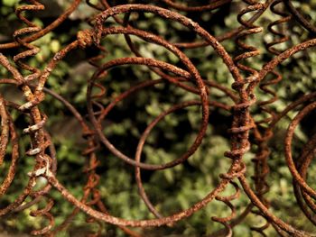 Close-up of chainlink fence