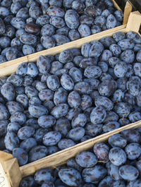 Close-up of grapes in container