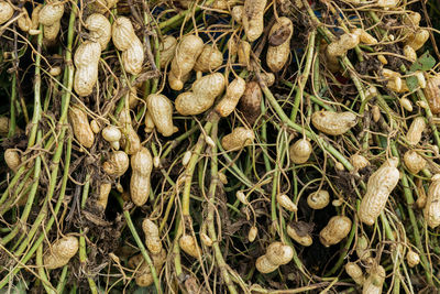 Full frame shot of fresh vegetables