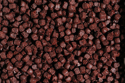 Full frame shot of plant