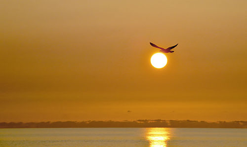 Scenic view of sea against sky during sunset